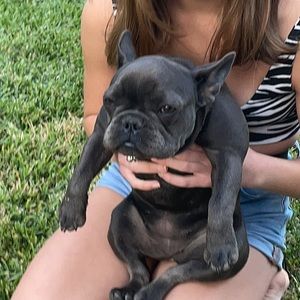 Meet your Posher, Emily